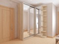 Шкаф-купе в коридор Робин