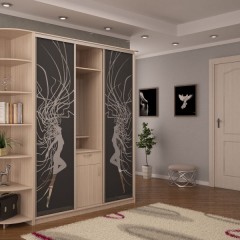 Шкаф-купе в коридор Эйден