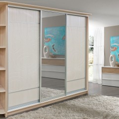 Шкаф-купе в коридор Дастин