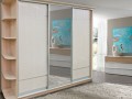 Шкаф-купе в коридор Дастин
