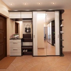 Шкаф-купе в прихожую Дэнни