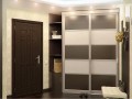 Шкаф-купе в прихожую Алонзо