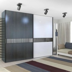 Шкаф-купе в комнату Джони