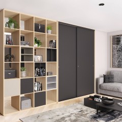 Шкаф-купе в комнату Оптим