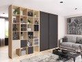 Шкаф-купе в комнату Оптим