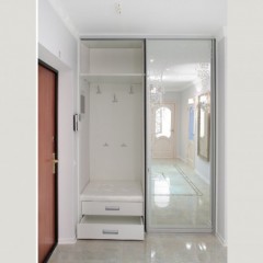 Шкаф-купе узкий Арон