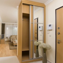 Шкаф-купе узкий Джонни