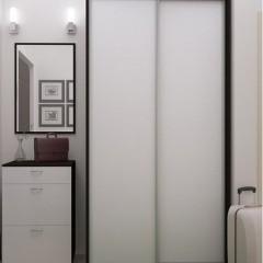 Шкаф-купе узкий Ренальд