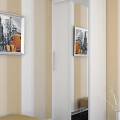 Шкаф-купе узкий Ленор