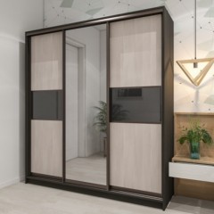 Высокий Шкаф-купе Карлон