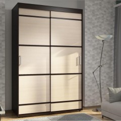 Двух-дверный Шкаф-купе Экселенд