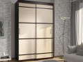 Двух-дверный Шкаф-купе Экселенд