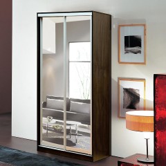 Шкаф-купе маленький Ремай