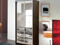 Шкаф-купе маленький Ремай