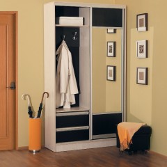 Шкаф-купе маленький Реминор