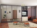 Шкаф-купе 5 метров Гарам