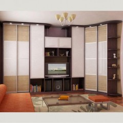 Шкаф-купе среднего сегмента Розали