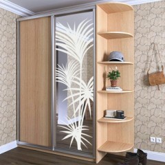 Бюджетный Шкаф-купе Лонг