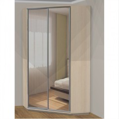 Бюджетный Шкаф-купе Адил