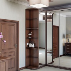 Бюджетный Шкаф-купе Перо