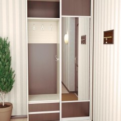 Шкаф-купе 1 метр Модест