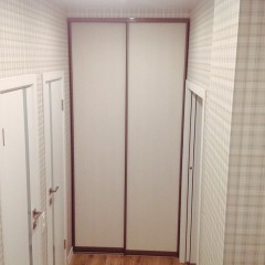 Шкаф-купе 1 метр Терентий