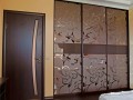 Шкаф-купе по индивидуальным размерам Алтениа