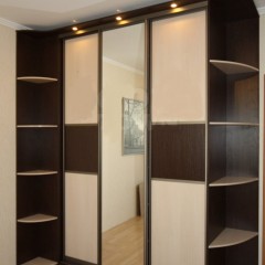 Шкаф-купе по индивидуальным размерам Фила