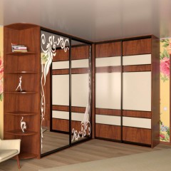 Шкаф-купе по индивидуальным размерам Дренис