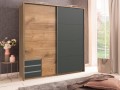 Шкаф-купе 2021 Клод