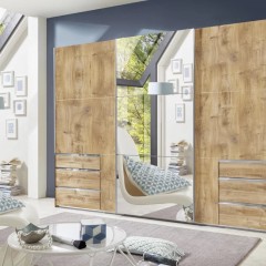 Шкаф-купе 2021 Мануэль