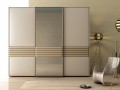 Шкаф-купе стильный Бэзим