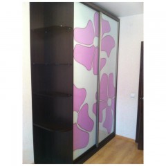 Шкаф-купе «Фотопечать 9»