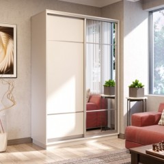 Шкаф-купе евро Рамиль