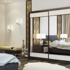 Шкаф-купе евро Симпл