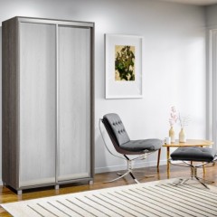 Шкаф-купе евро Тимофей