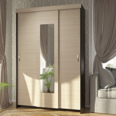 Шкаф-купе евро Хеппи