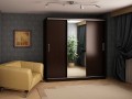 Шкаф-купе цвет дуб венге Шоколад