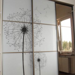 Шкаф-купе «Фотопечать 30»