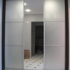 Шкаф-купе «Матовый 51»