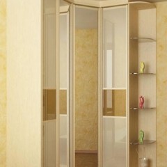 Шкаф-купе «Оракал 67»