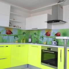 Кухня П-образная Токси