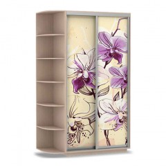 Шкаф-купе Розовые Архидеи двухдверный светлый