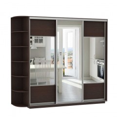 Шкаф-купе Комбинированный с Зеркалом
